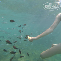 фото из отзыва ID 2066211