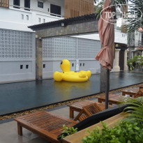 фото из отзыва ID 2068536