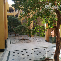 фото из отзыва ID 2064424