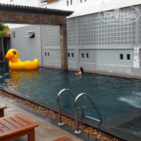 фото из отзыва ID 2068536