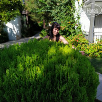 фото из отзыва ID 2067365