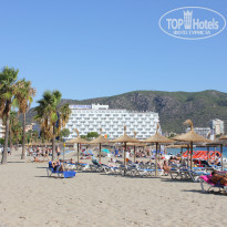 фото из отзыва ID 2068589