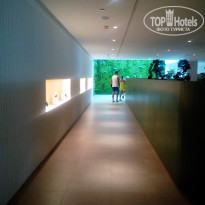 фото из отзыва ID 2068589