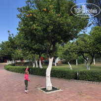 фото из отзыва ID 2068730