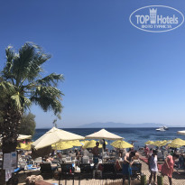 фото из отзыва ID 2068736