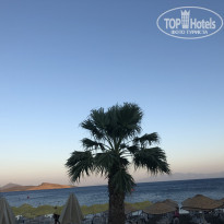 фото из отзыва ID 2068736