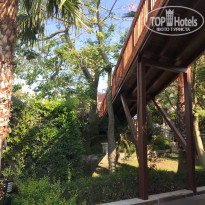 фото из отзыва ID 2068748