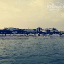 фото из отзыва ID 2068826