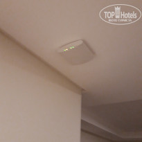 фото из отзыва ID 2068859