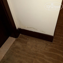 фото из отзыва ID 2068859