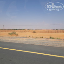 фото из отзыва ID 2068859