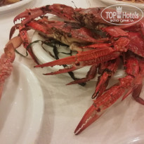 фото из отзыва ID 2068954