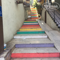 фото из отзыва ID 2068683