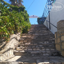 фото из отзыва ID 2069141