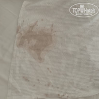 фото из отзыва ID 2069182