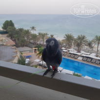 фото из отзыва ID 2069167