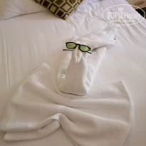 фото из отзыва ID 2069264