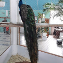 фото из отзыва ID 2069341