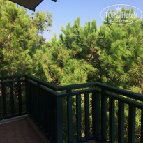 фото из отзыва ID 2069402