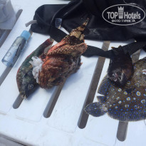 фото из отзыва ID 2069420