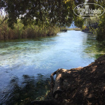 фото из отзыва ID 2069516