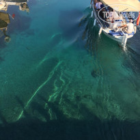 фото из отзыва ID 2069516