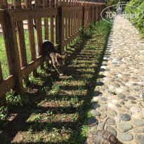 фото из отзыва ID 2069516