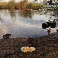 фото из отзыва ID 2069516