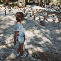 фото из отзыва ID 2069516