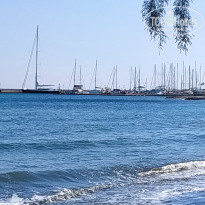 фото из отзыва ID 2069518