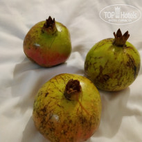 фото из отзыва ID 2069518