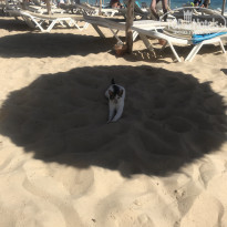 фото из отзыва ID 2069566