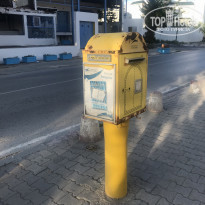 фото из отзыва ID 2069566