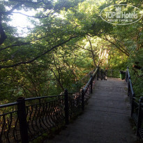 фото из отзыва ID 2069514