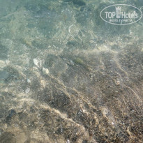 фото из отзыва ID 2069493