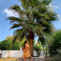 фото из отзыва ID 2069693