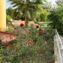 фото из отзыва ID 2069693