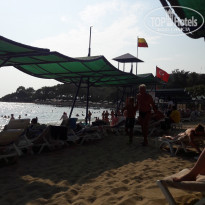 фото из отзыва ID 2069064