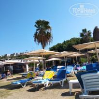 фото из отзыва ID 2069731