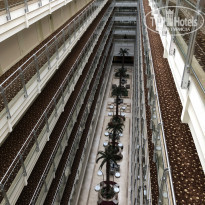 фото из отзыва ID 2069781