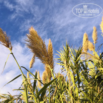 фото из отзыва ID 2069859