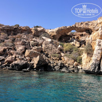 фото из отзыва ID 2069859