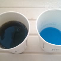 фото из отзыва ID 2069748