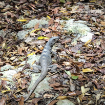 фото из отзыва ID 2069874