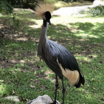 фото из отзыва ID 2069874