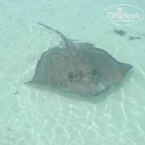 фото из отзыва ID 2069874