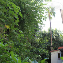 фото из отзыва ID 2069926