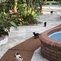 фото из отзыва ID 2069926