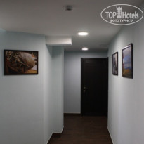 фото из отзыва ID 2069987