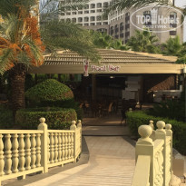 фото из отзыва ID 2065386